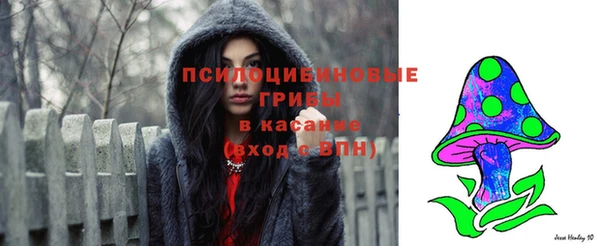apvp Нея