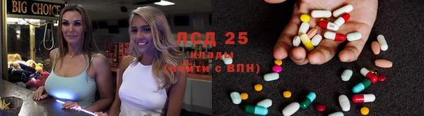 стафф Анжеро-Судженск