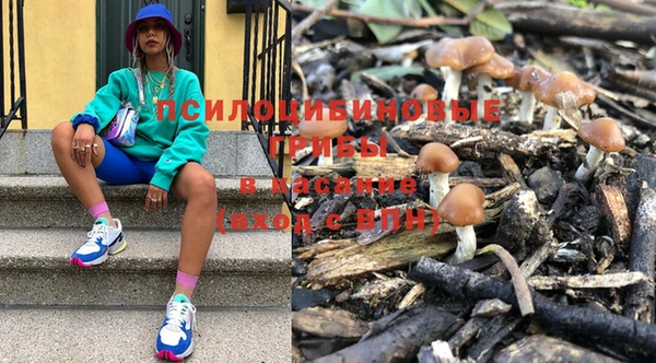 apvp Нея