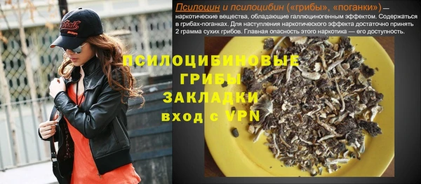 дмт Новозыбков