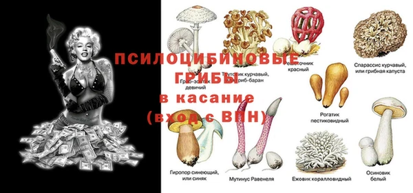 меф Нефтегорск