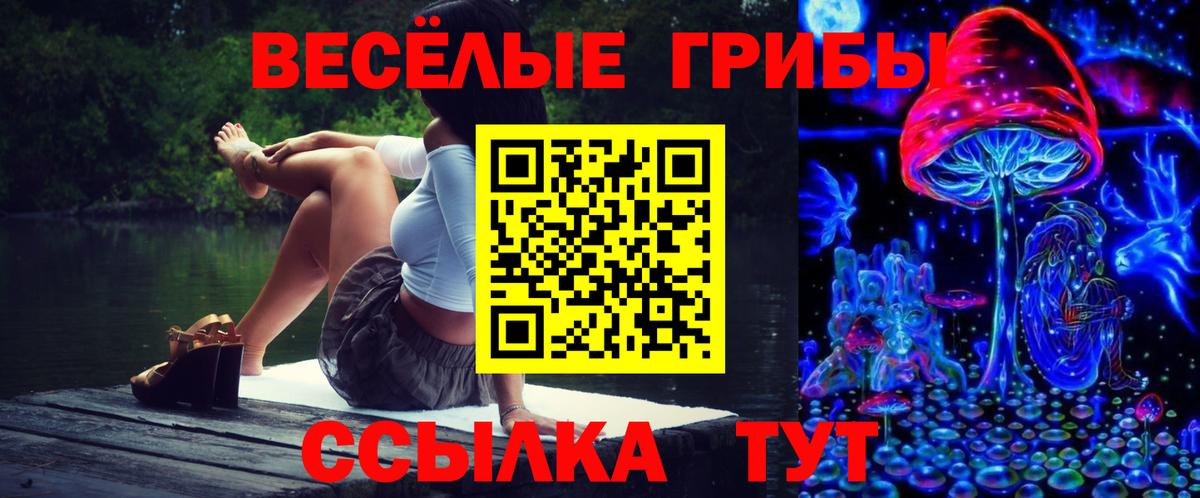 Бийск  Псилоцибиновые грибы мицелий  Вход с VPN 