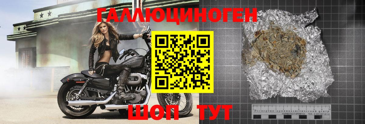 Галлюциногенные грибы Psilocybine cubensis Бийск