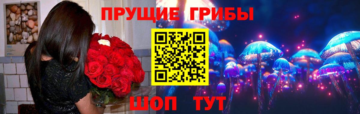 Галлюциногенные грибы GOLDEN TEACHER  купить наркоту  Бийск  Псилоцибиновые грибы Cubensis 