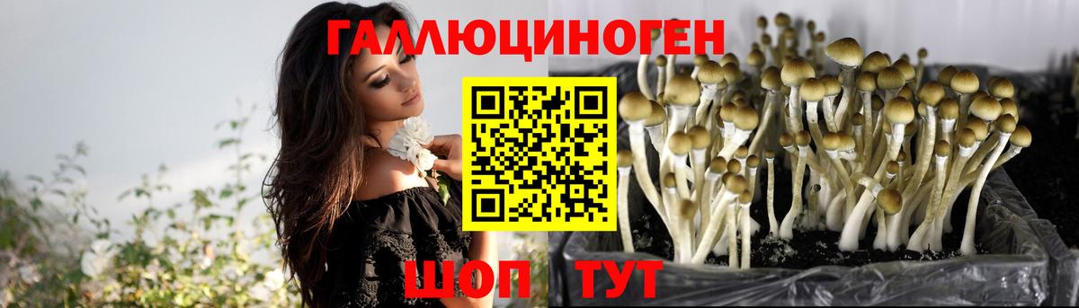 Codein  Гашиш  МДМА  Вход с VPN  Мефедрон  Конопля  NBOMe  КОКАИН  Бийск  МЕФ 