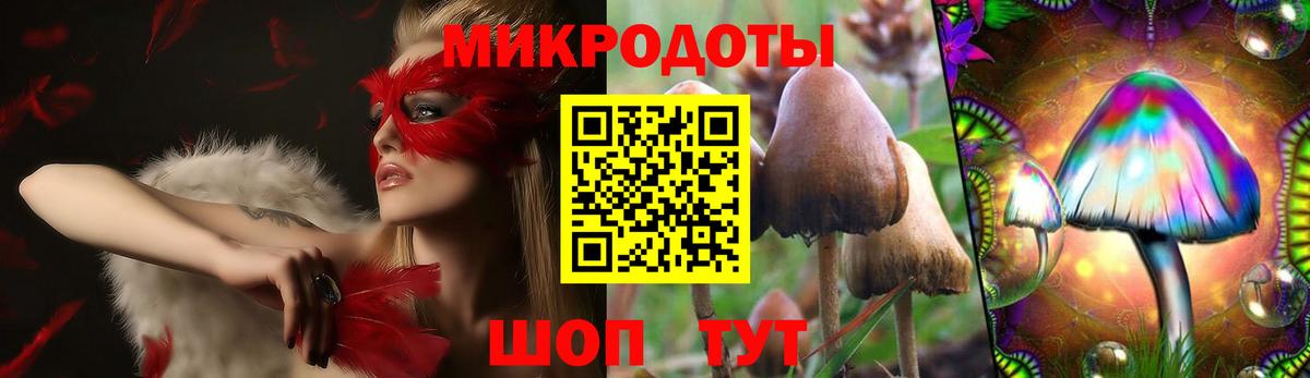 Галлюциногенные грибы прущие грибы Бийск